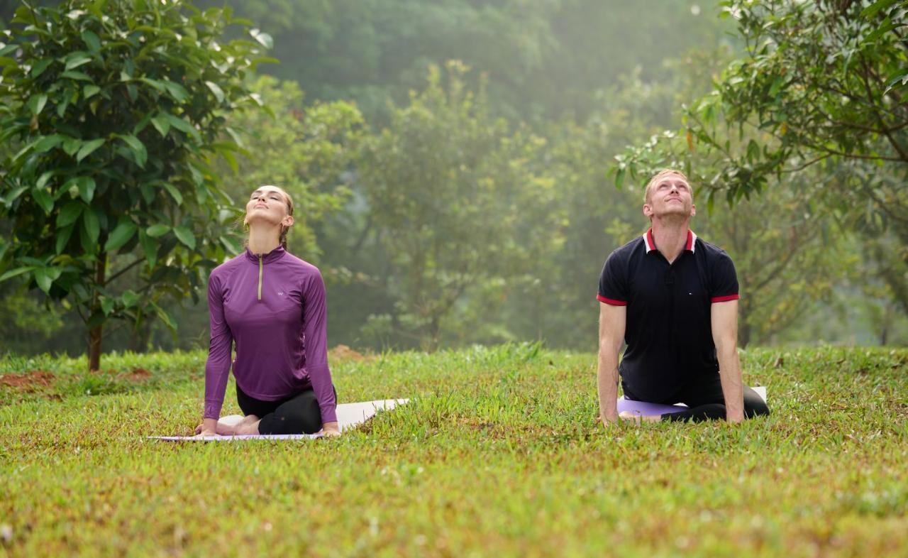 Tigris Valley Holistic Wellness Resort Vallikavungal Luaran gambar
